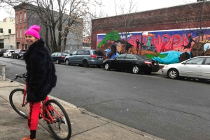 Brooklyn: Passeio turístico de bicicleta com guia local