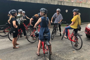 Brooklyn: Passeio turístico de bicicleta com guia local