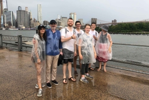 Brooklyn: Passeio turístico de bicicleta com guia local