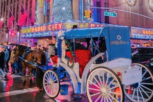 NYC MAGICAL NIGHT TIME RIDE Central Park/Rockefeller Center