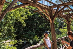 Visite à pied de 2 heures de Central Park menée par des habitants de Manhattan !