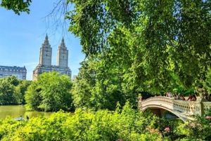 Central Park 2h Walking Tour Manhattanin asukkaiden johdolla !