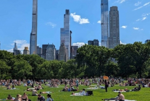 Central Park 2 uur wandeltour onder leiding van bewoners van Manhattan!