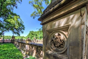 Tour a piedi di Central Park di 2 ore guidato da residenti di Manhattan!