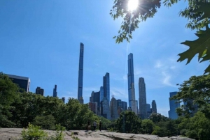 Central Park 2 uur wandeltour onder leiding van bewoners van Manhattan!