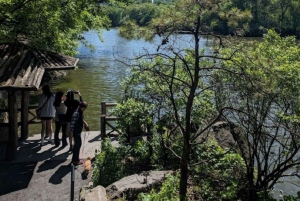 Central Park 2h Walking Tour Manhattanin asukkaiden johdolla !