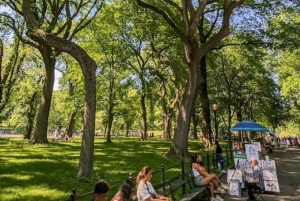 Central Park 2-godzinna wycieczka piesza prowadzona przez mieszkańców Manhattanu!