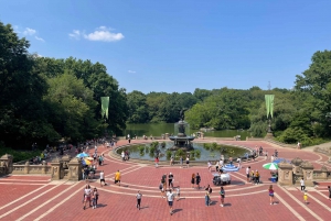 Central Park Daily Walking Tour