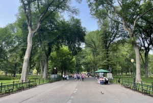 Central Park Daily Walking Tour