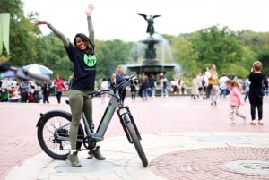 Udlejning af elcykler i Central Park i New York City