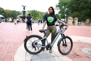 ニューヨーク市のセントラル パーク電動自転車レンタル