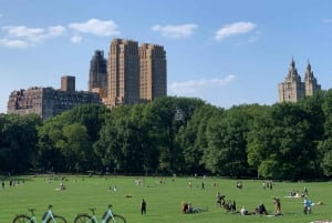 Uthyrning av elcyklar i Central Park