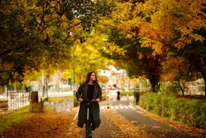 Utleie av sparkesykkel i Central Park