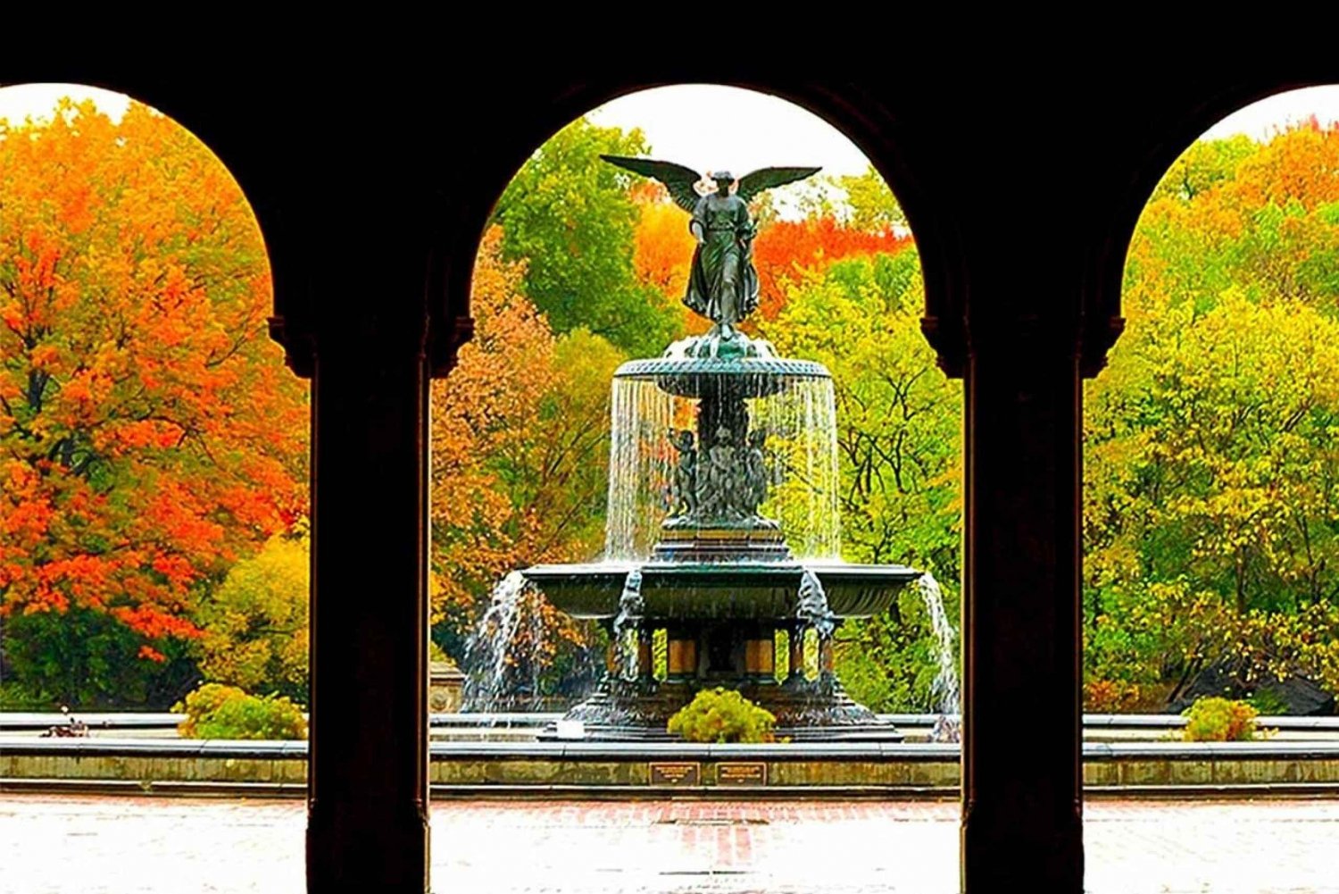 Esperienza a Central Park: un tour a piedi panoramico e storico