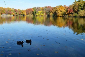 Central Park-oplevelse: En naturskøn og historisk vandretur