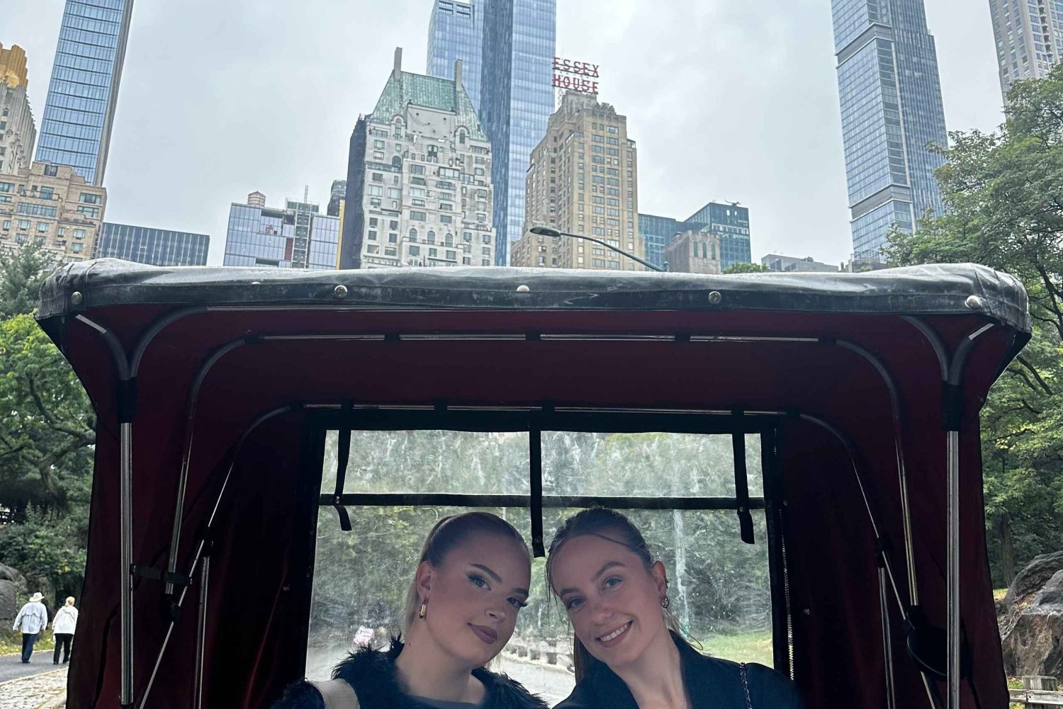 Central Park: 1,5-godzinna wycieczka rowerowa z przewodnikiem śladami filmów i gwiazd