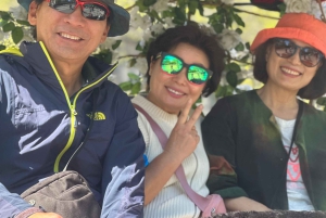 Central Park: Guidad 1,5-timmars film- och kändistur med cykeltaxi