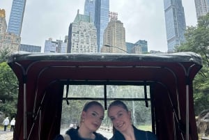 Central Park: Guided 1.5-hour Movie & Celebrity Pedicab Tour