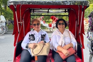 Central Park: Guided 1.5-hour Movie & Celebrity Pedicab Tour