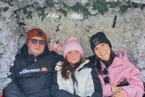 Central Park: Guided 1.5-hour Movie & Celebrity Pedicab Tour