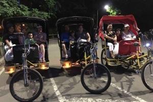 NYC: Central Park Guided Pedicab Tour