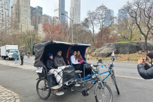 NYC: Central Park Guided Pedicab Tour