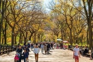 Visite guidée à vélo de Central Park