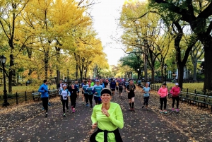 Central Park: Høydepunkter Running Tour