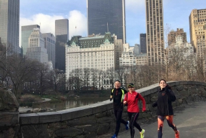 Central Park: Høydepunkter Running Tour