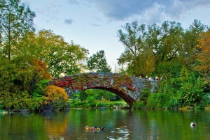 Imaginær oplevelse i Central Park