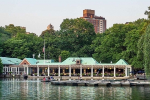 Esperienza immaginaria di Central Park