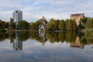 Experiencia imaginaria en Central Park