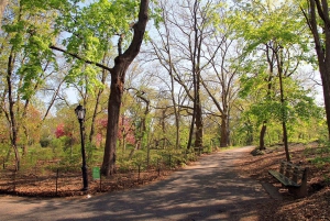 Central Park Imaginäres Erlebnis