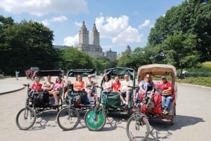 Filmplatser i Central Park och rundtur i kändisars hem