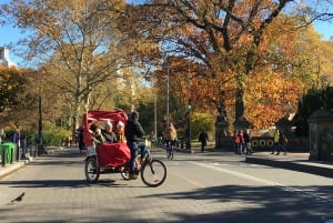 Места для просмотра фильмов в Центральном парке и тур по домам знаменитостей