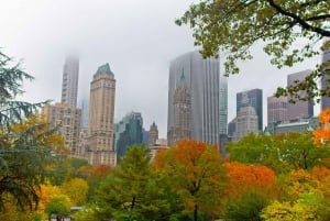 Filmplatser i Central Park och rundtur i kändisars hem