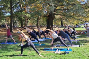 Central Park, Nueva York: Clases de yoga en el parque desde 2012