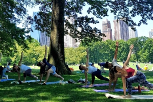 Central Park, New York: Yogaklasser i parken siden 2012