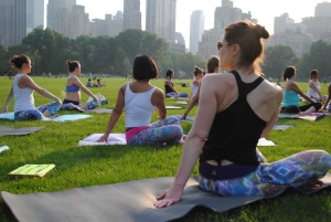 Central Park, New York : Cours de yoga dans le parc depuis 2012