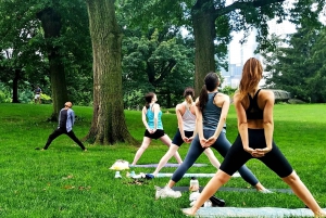 Central Park, New York: Lezioni di yoga nel parco dal 2012