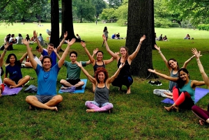 Central Park, New York: Yogaklasser i parken siden 2012