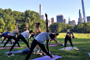 Central Park, New York: Lezioni di yoga nel parco dal 2012