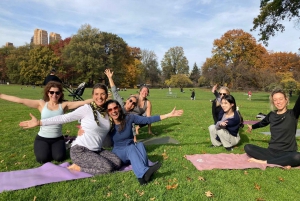 Central Park, Nowy Jork: Zajęcia jogi w parku od 2012 roku