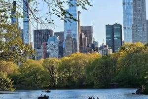 Central Park, NY: Nature, Architecture and Movie Scenes Tour
