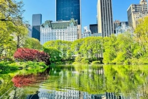 NYC: Central Park fietstocht met fotostops