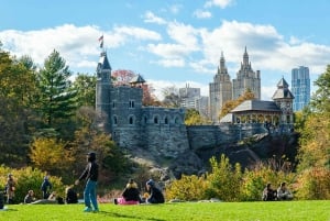 NYC : visite en pousse-pousse de Central Park / arrêts photo