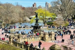 Nueva York: recorrido en bicitaxi por Central Park / paradas para tomar fotografías