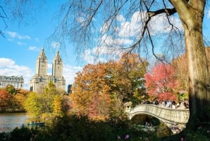 NYC: Central Park Pedicab Tour med fotostopp