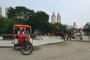 Fietsen in Central Park met New York Pedicab Services