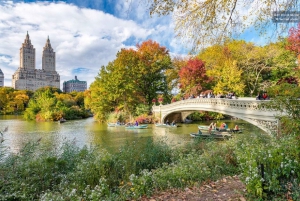 Passeios oficiais de Pedicab no Central Park